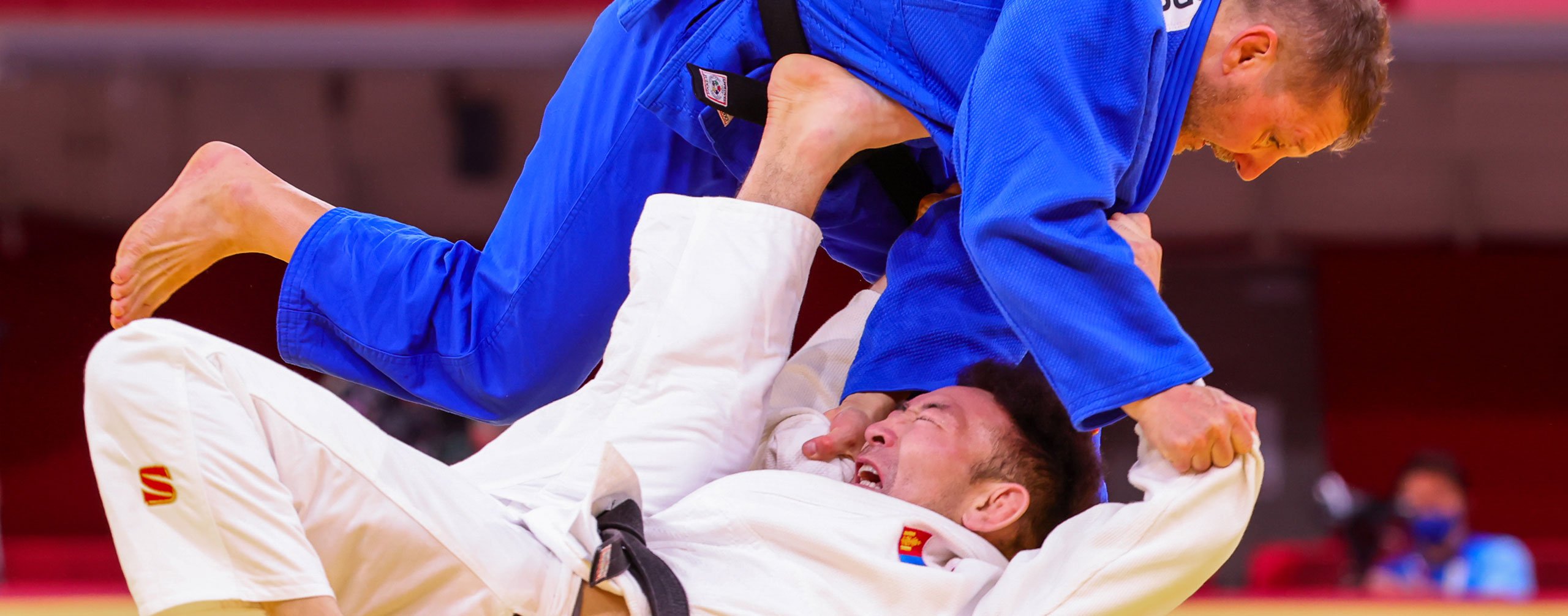 Para Judo image