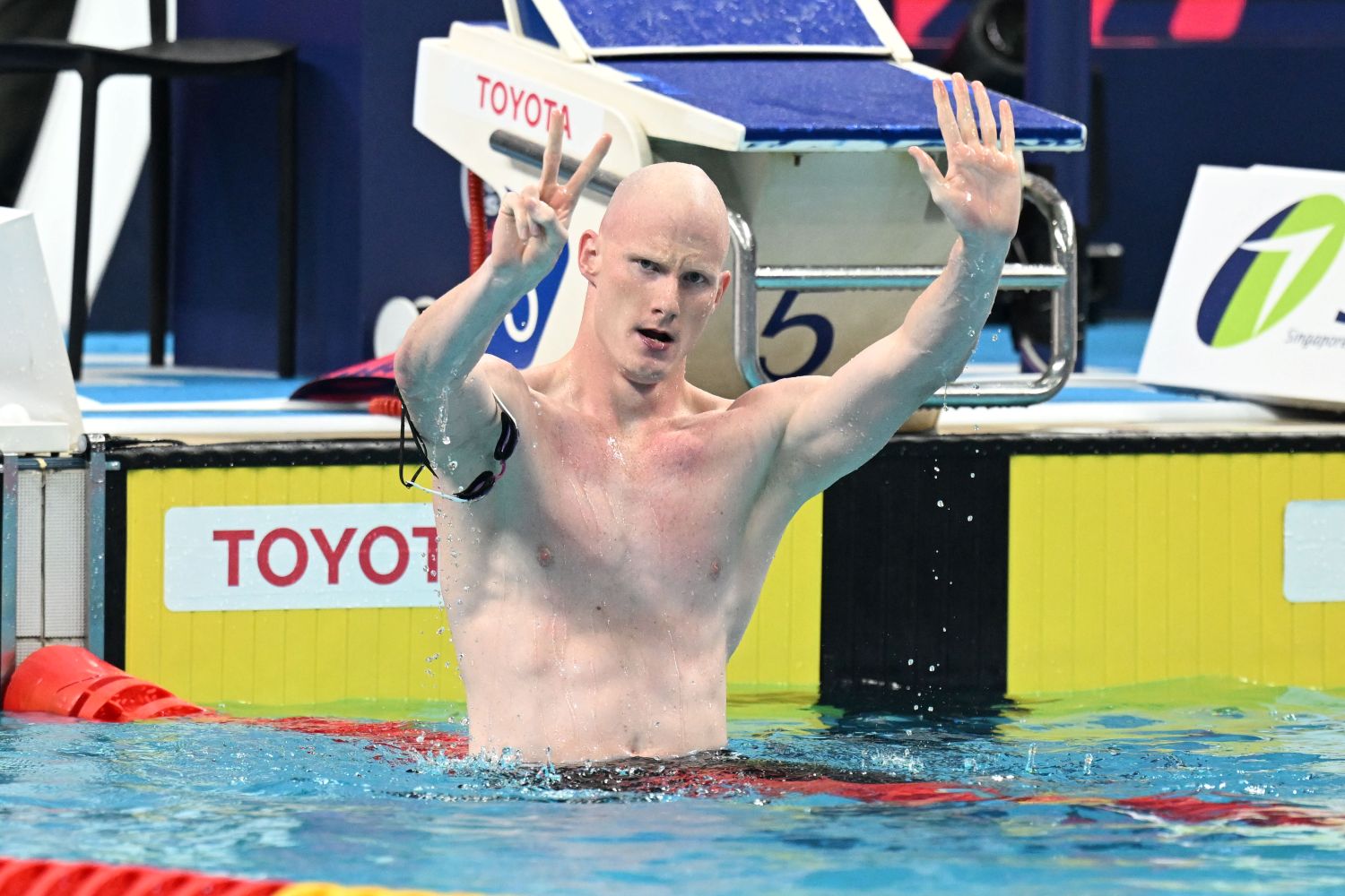Emerging And Established Swimmers Win World Championship Gold   image