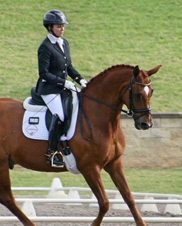 Aussies in action at Waregem CPEDI3* image
