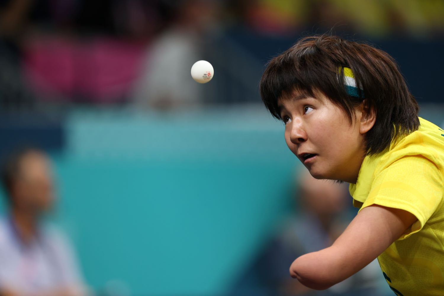 Yang Turns On The Afterburners In Gold Medal Defence  image
