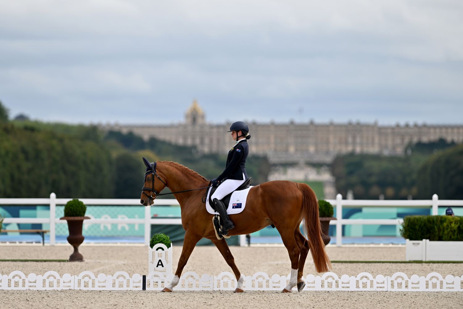 Australia’s Para-equestrian Team Start In Style At Beautiful Versailles image