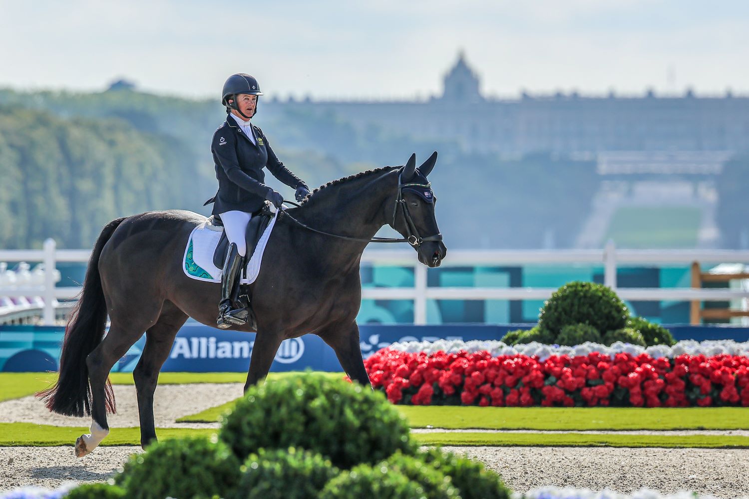 Proud Equestrians Pinching Themselves: ‘Is This A Dream?!’   image