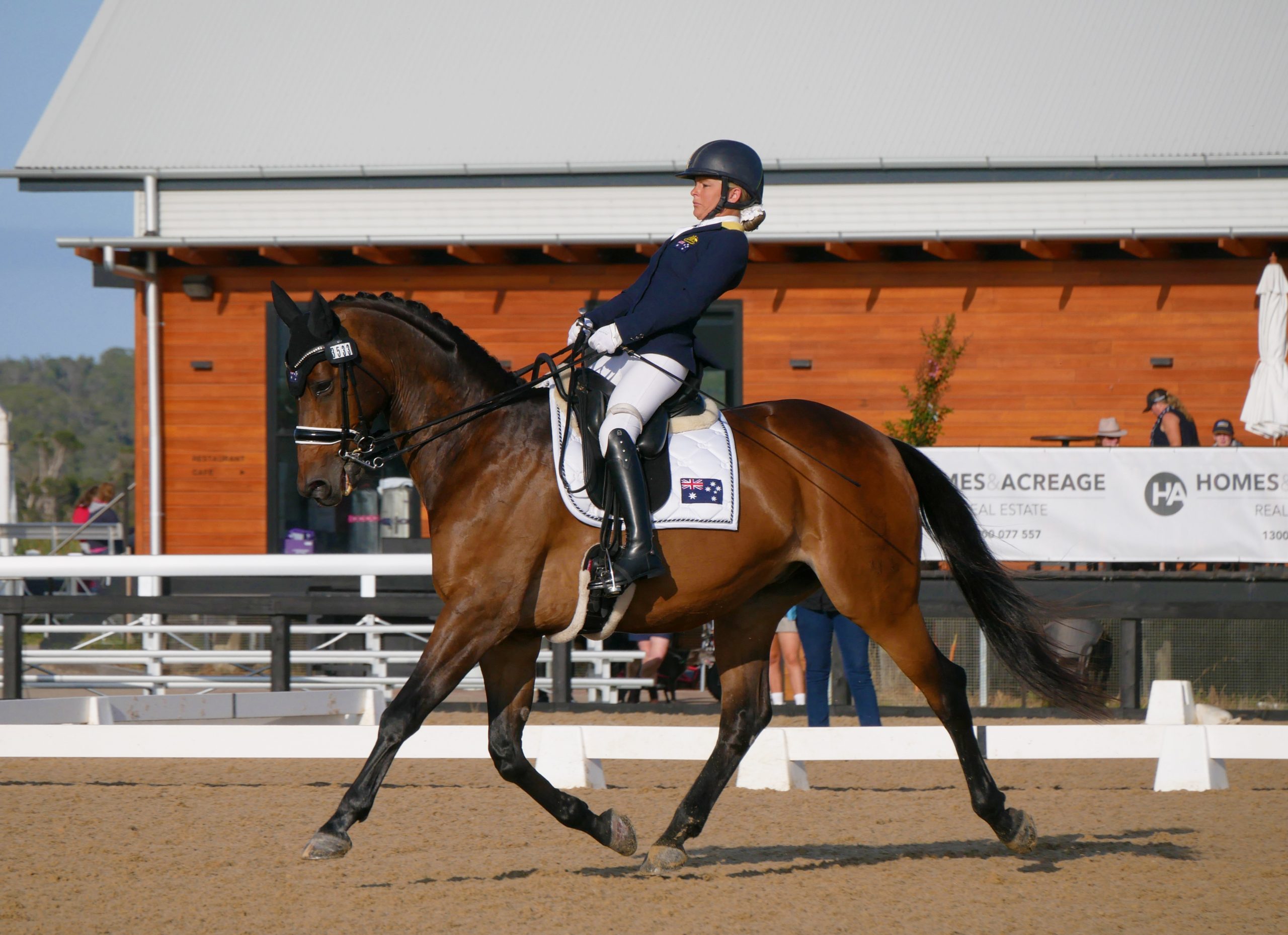 Para-equestrians on target for Tokyo image