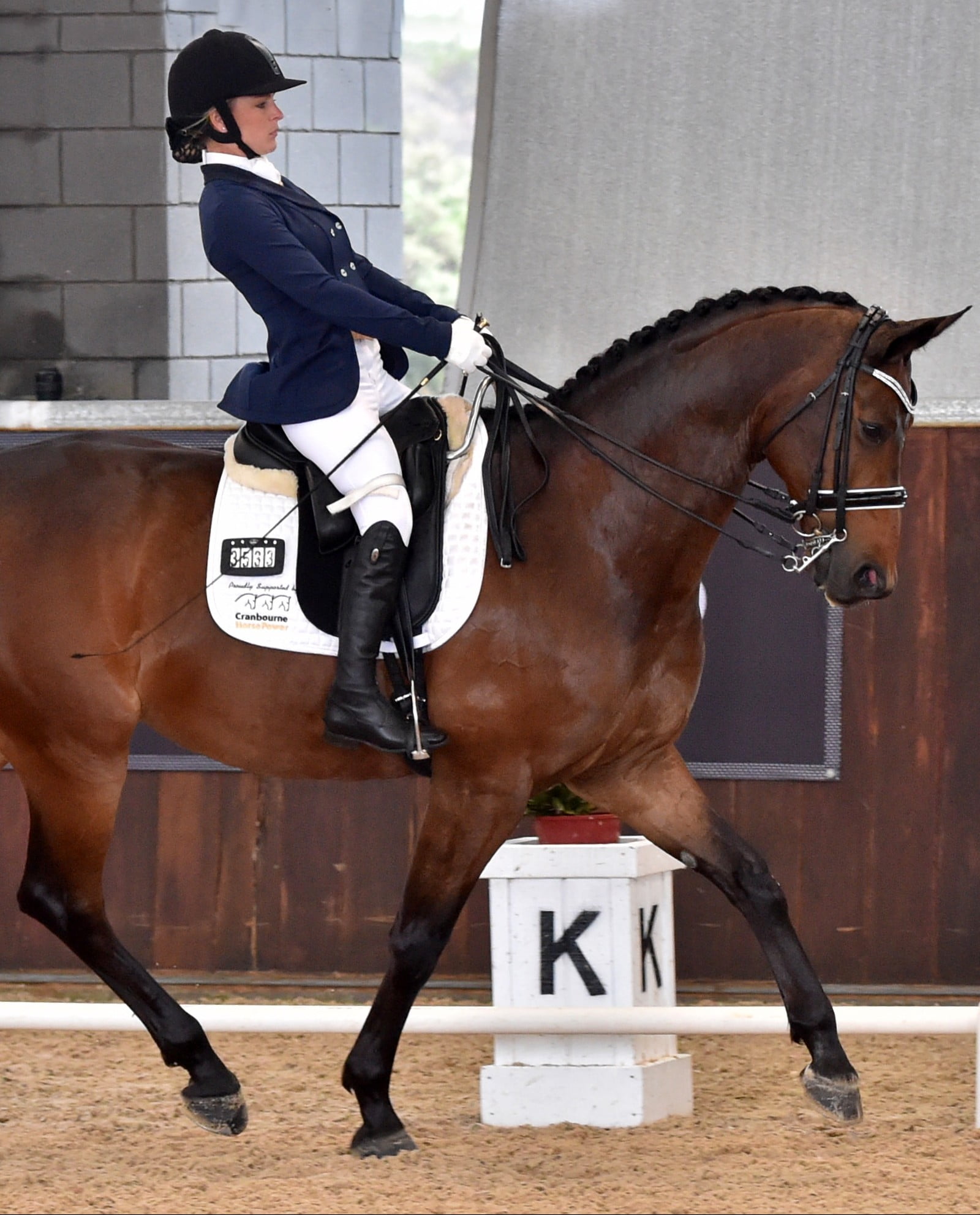 Australia on track for Rio after successful Boneo CPEDI image