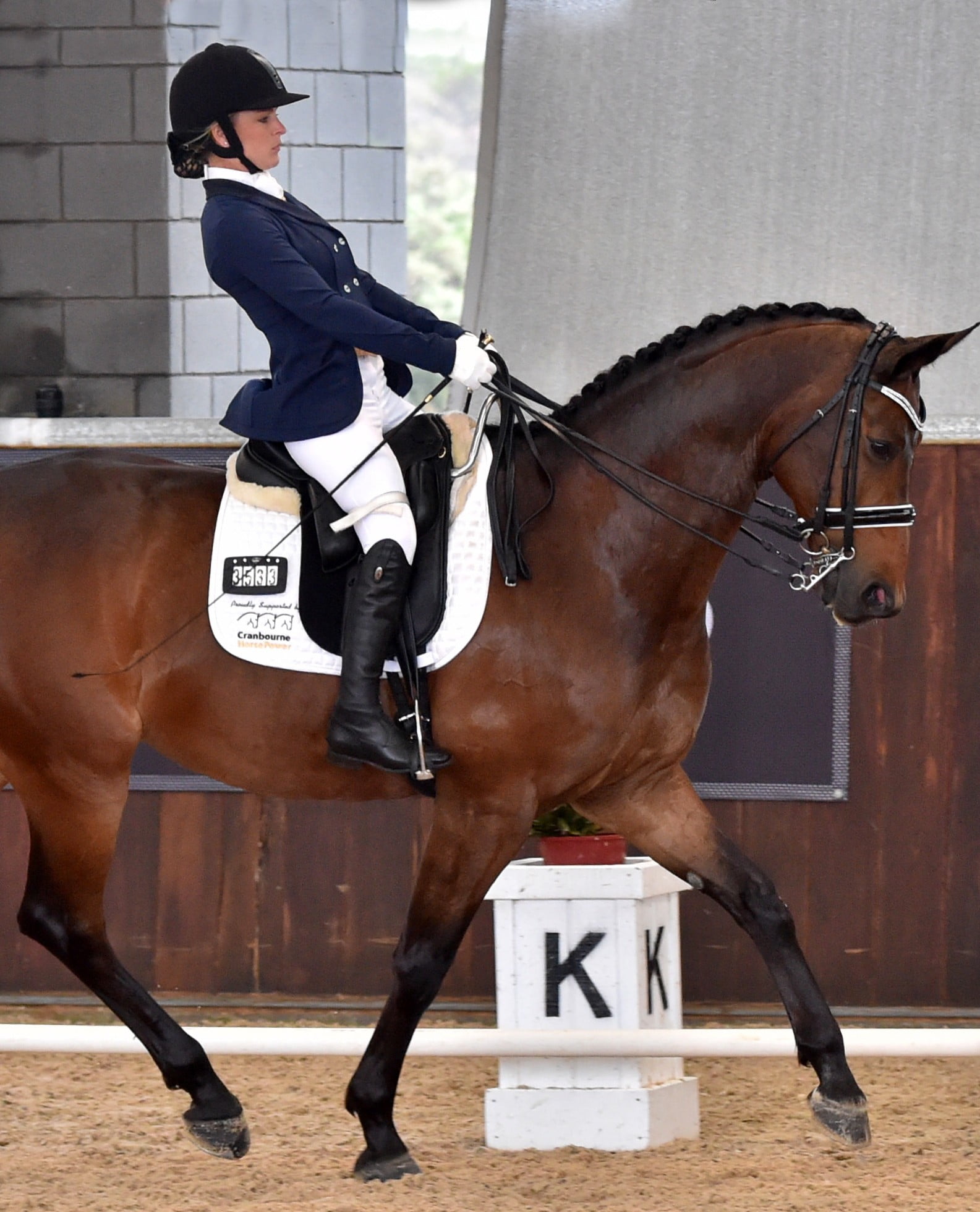 Rio nomination event continues at Sydney CDI image