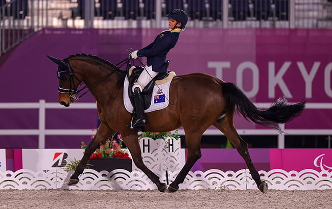 Zidane’s last dance at the para-equestrian image