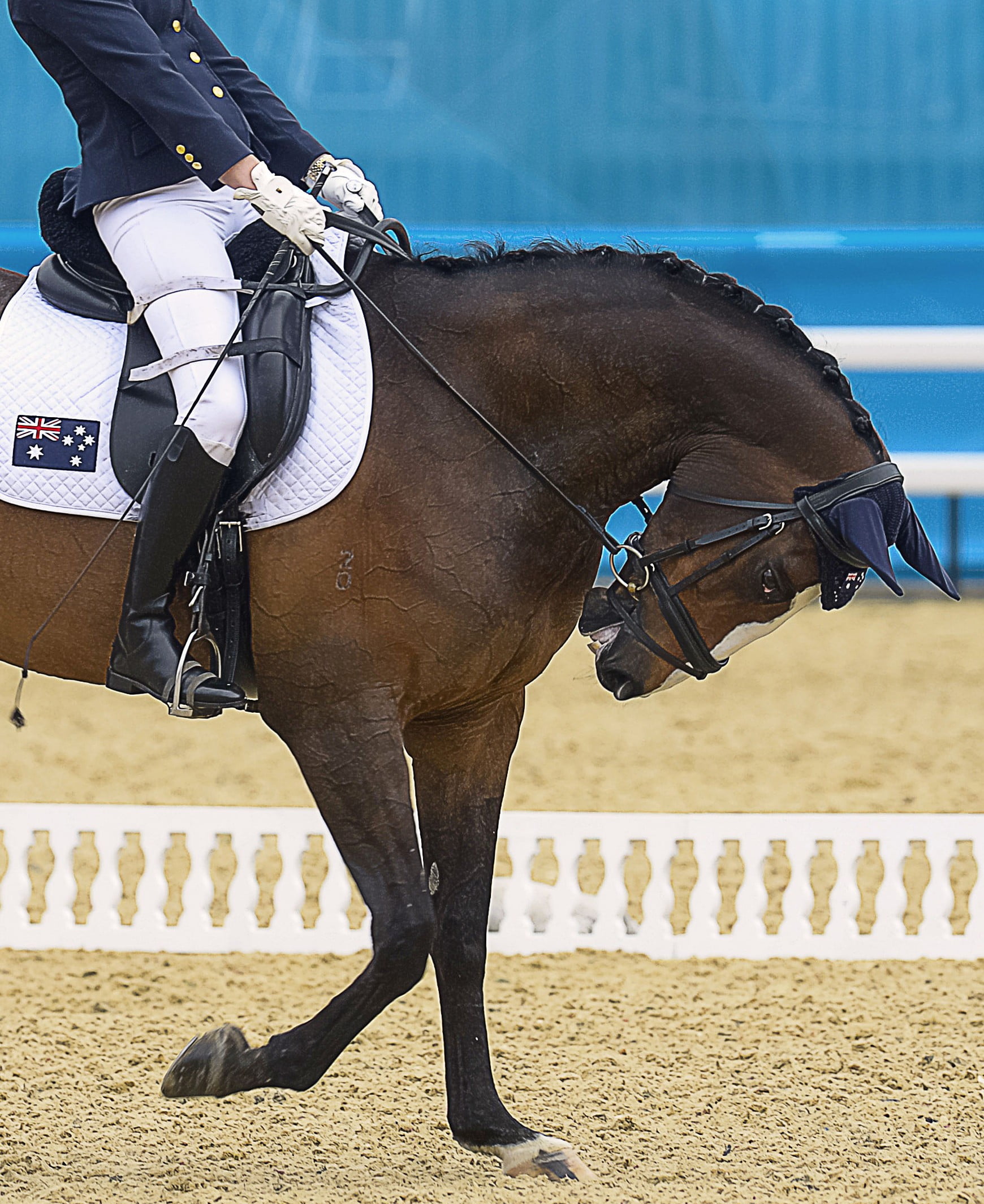 Qualifying heats-up for Rio hopefuls image