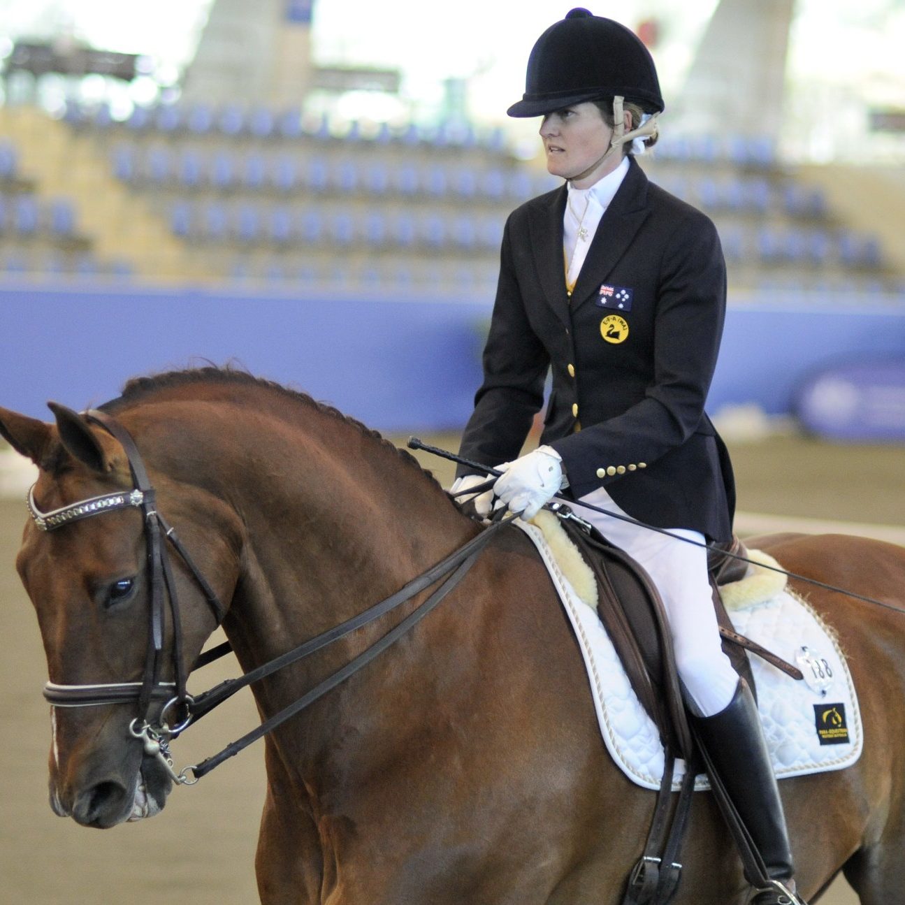 Four named on 2016 Australian Paralympic equestrian team image