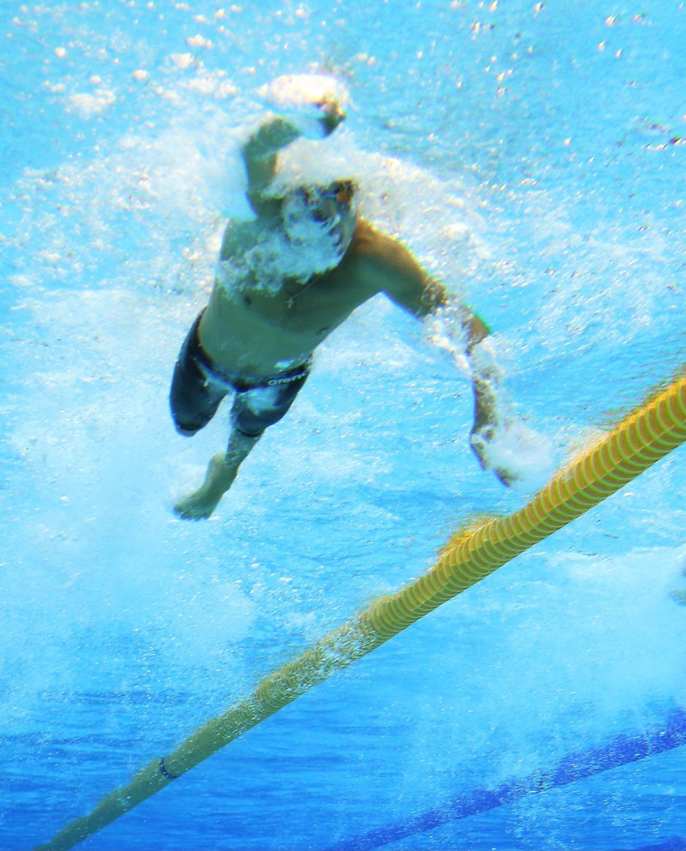 Swimming Australia announces exciting new appointments for Para coaches image