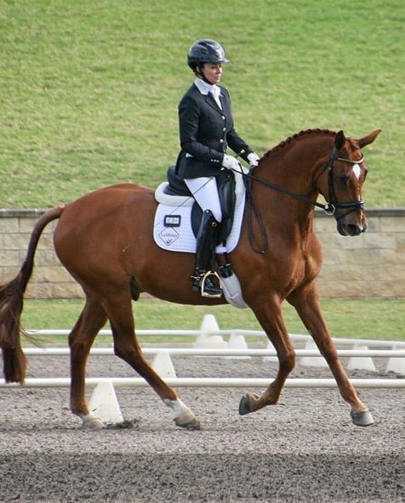 Final chapter for European based Para-athletes to qualify for Rio image