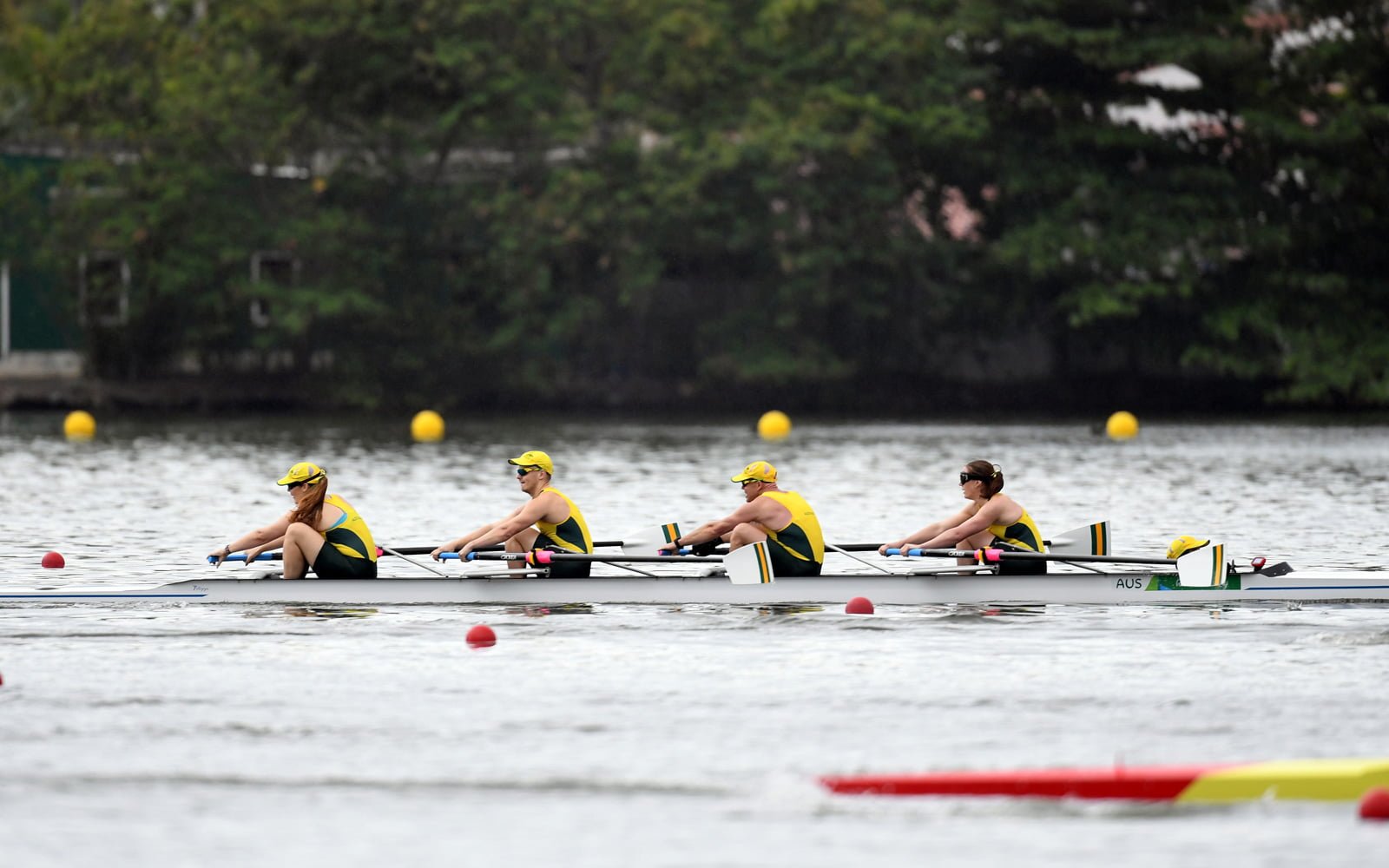 Rowing Australia launches #Passport2Paris image