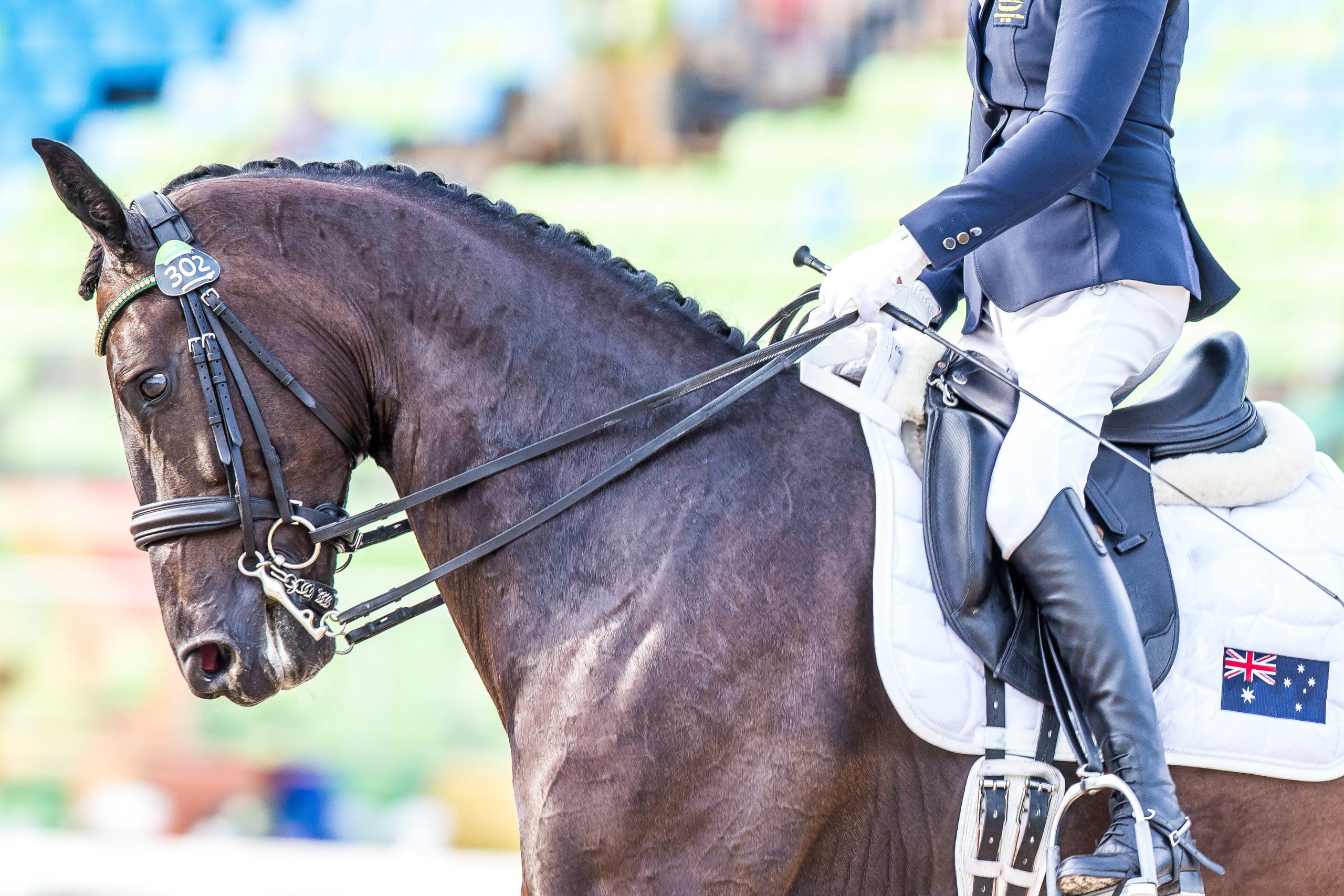 Para-equestrian classifier receives FEI nomination for International Women’s Day awards image