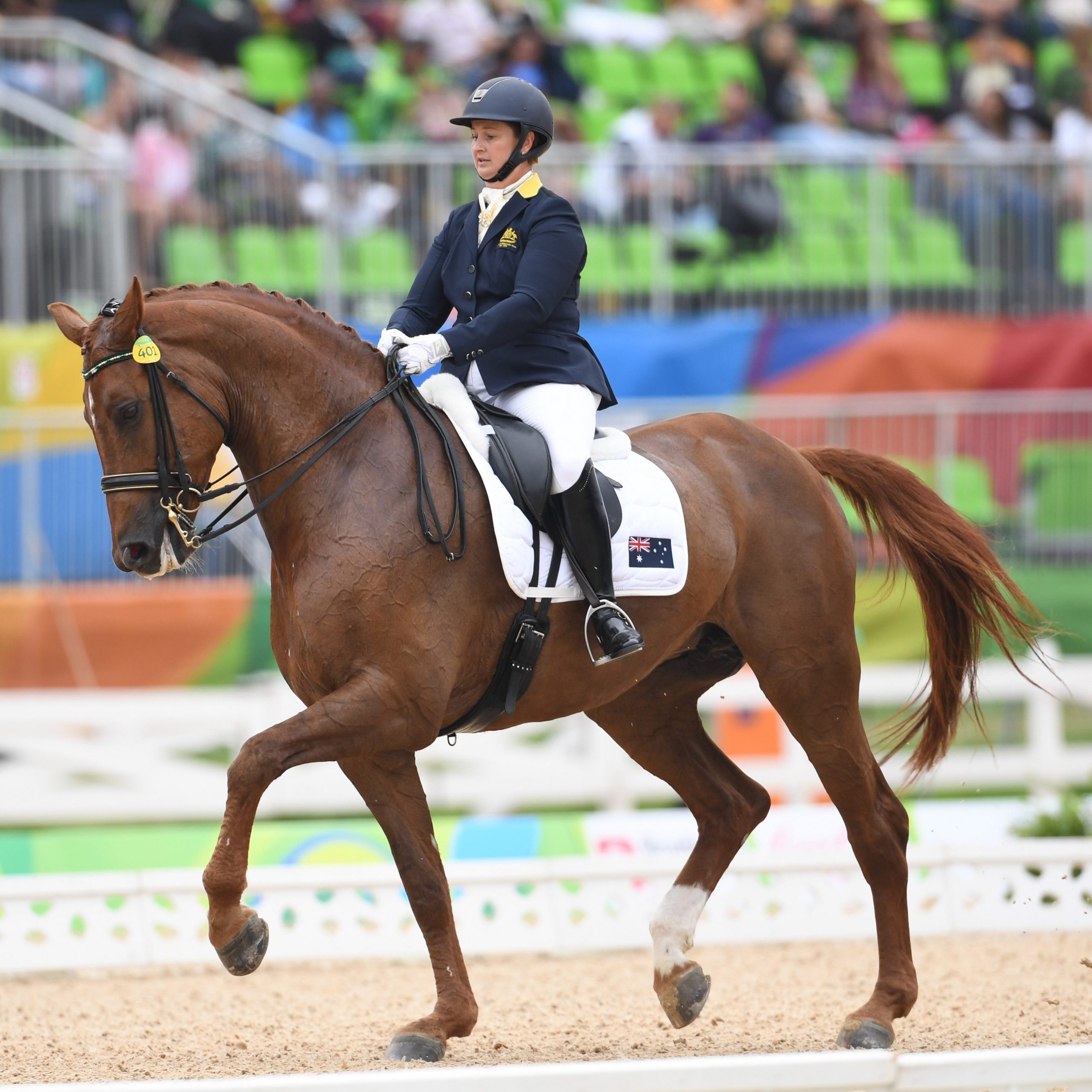 Para-dressage team test opens Sydney International Three-Day Event image