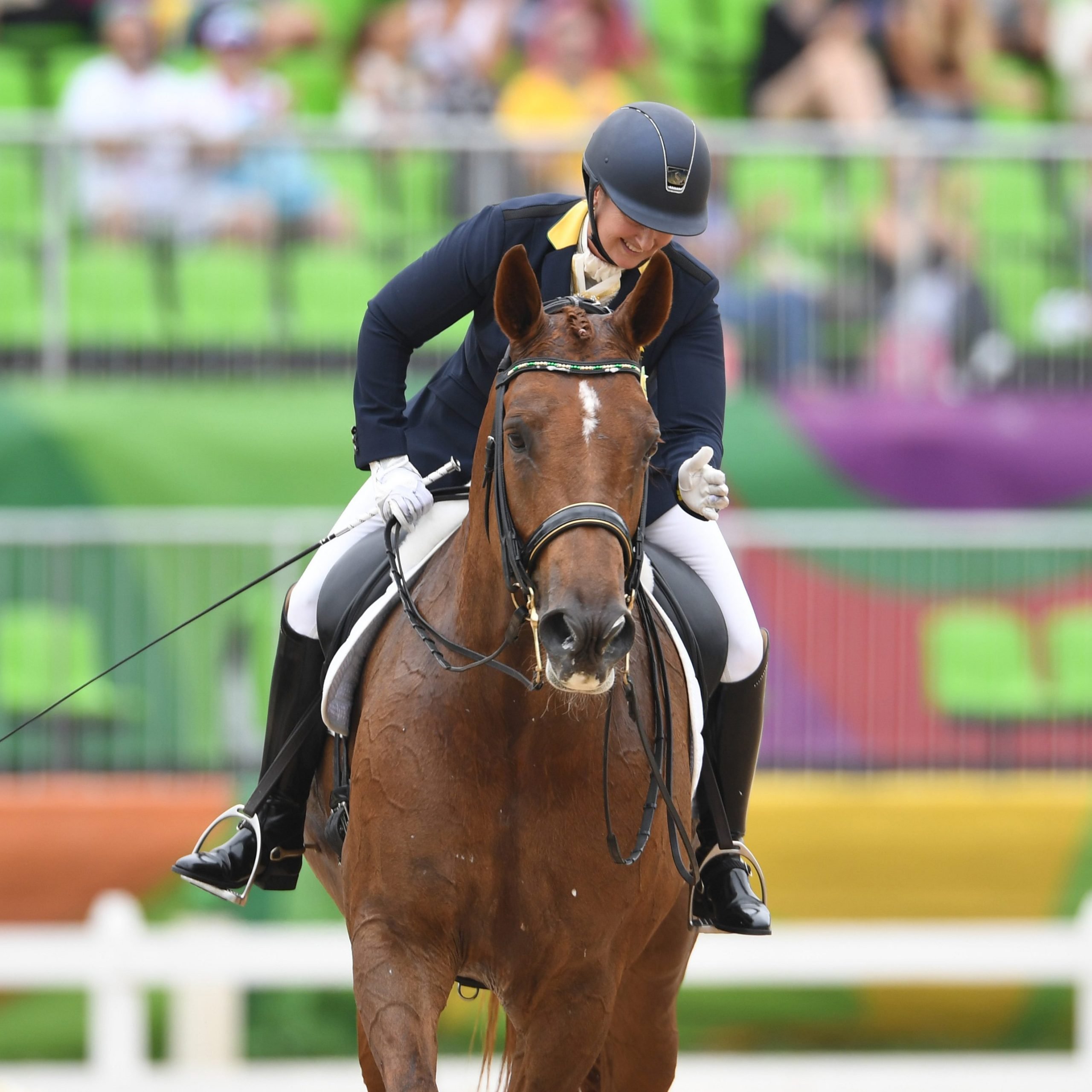 Para-dressage competitors shine on day two image