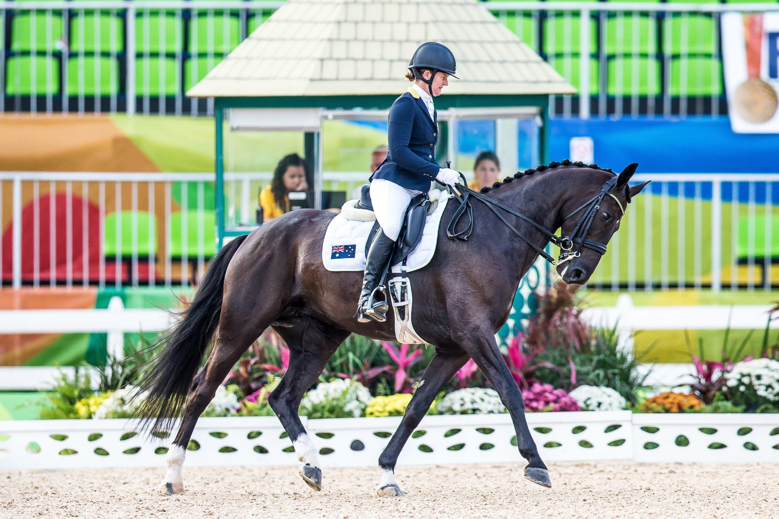 Fireworks spook Australian Paralympic equestrian team image