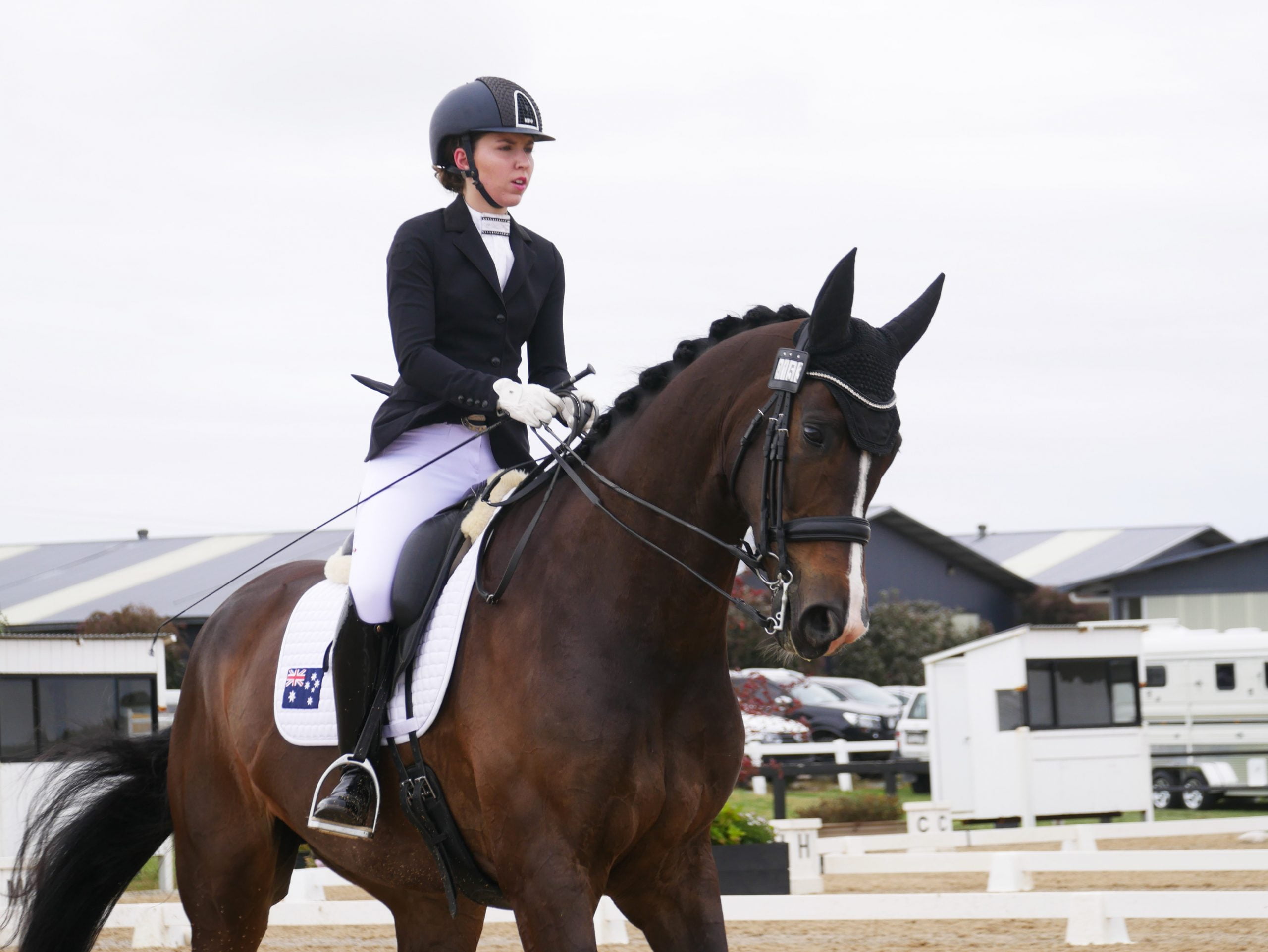 Para-equestrian Program making strides towards Tokyo image